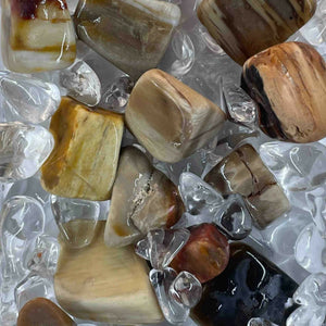 Petrified Wood & Kapoor Kachari Root Crystal sPRAY
