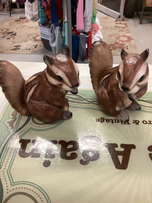 Vintage Cassidy’s Squirrels