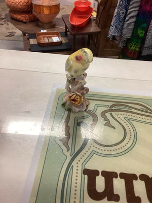Vintage Budgie Hand painted