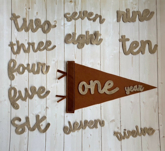 Milestone Markers - Felt