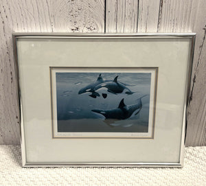 Framed Orca Print