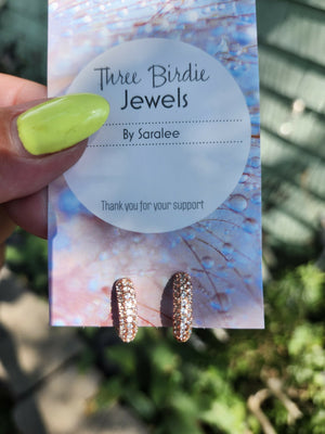 sparkly hoops