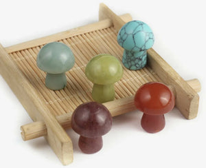 Mushroom Stone Assortment