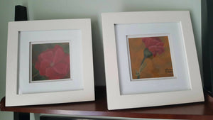 Framed Art Print - Carnation, available at The Drinkle location