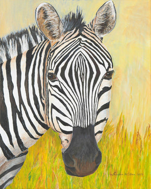 Zebra - 16" x 20" Print of Original Acrylic Painting, on Canvas, available at 33rd St. location