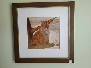 Framed 8" X 8" Print of Cougar, available at 33rd St. Location