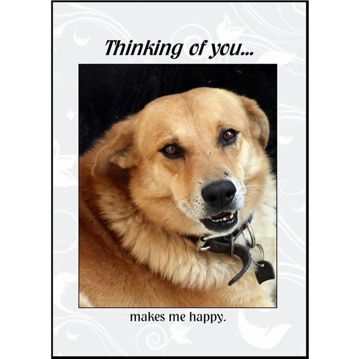 Greeting Card "Thinking of You" - at the Drinkle Mall location