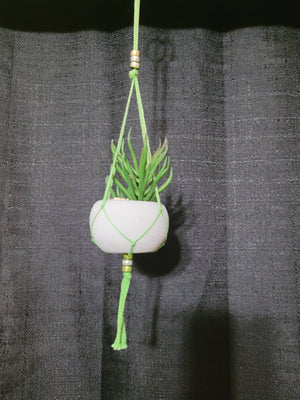 Artificial Succulent Hanger
