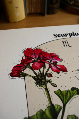 Scorpio Infographic - Available at 33rd St. Location