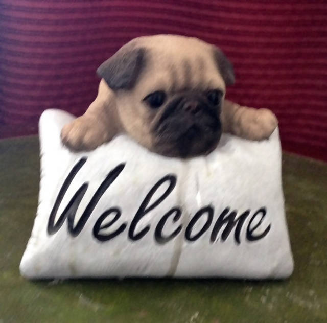 Concrete Pug Dog Welcome painted- River City Statuary
