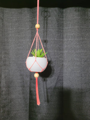 Artificial Succulent Hanger