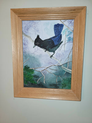 Framed Original Watercolor Painting - Forest Blue Jay, available at The Drinkle location