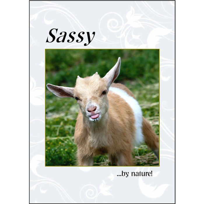 Greeting Card "Sassy By Nature" - Humour - Drinkle Mall Location