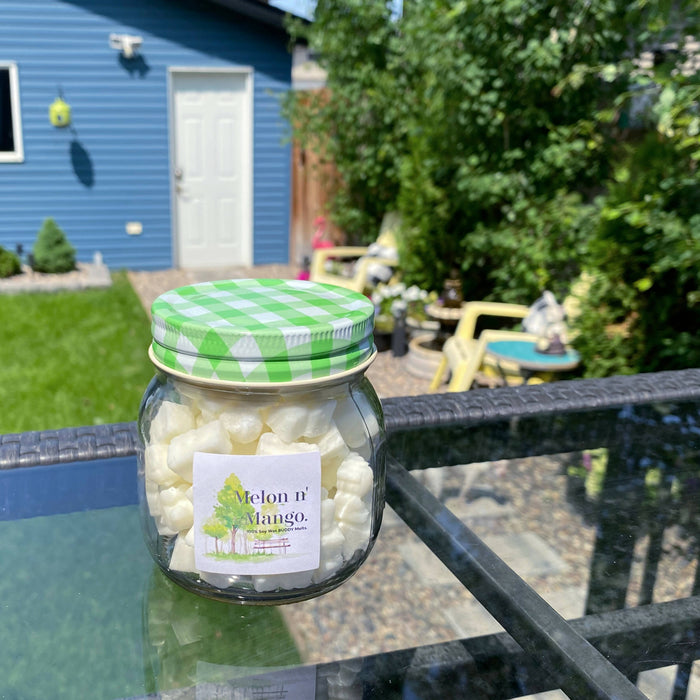 110ML 100% SOY WAX BUDDY Melts - MELON N' MANGO