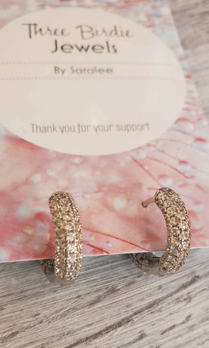 Silver sparkly hoops