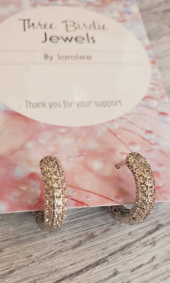 sparkly hoops