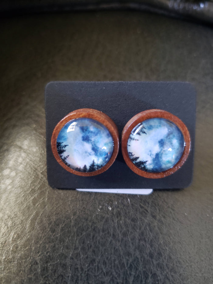 Forest Blue Earrings