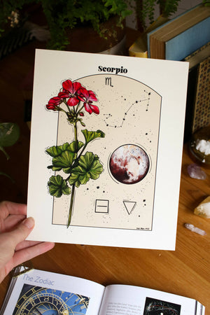 Scorpio Infographic - Available at 33rd St. Location