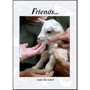 Greeting Card "Friends Make Life Better" - at the Drinkle Mall location
